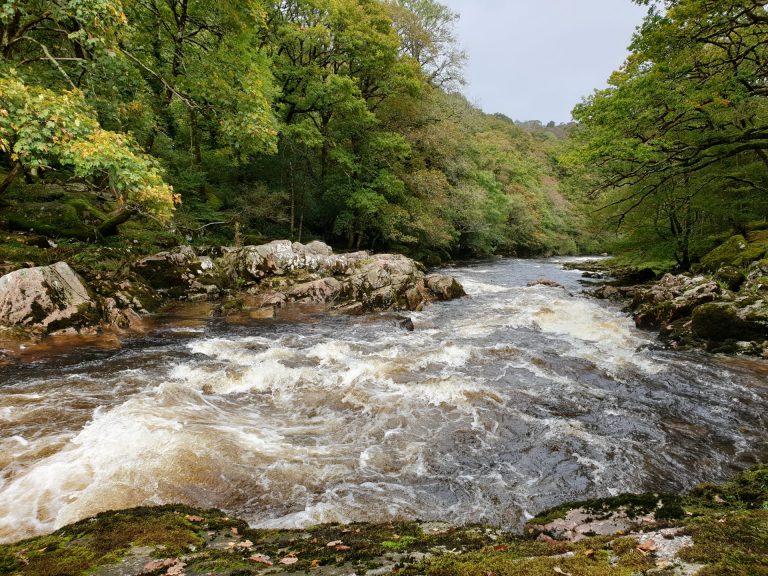 A Day Walk on the River Dart